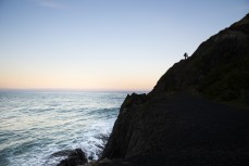 Muso at Second Beach, St Clair, Dunedin, New Zealand.Credit: www.boxoflight.com/Derek Morrison
