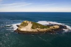 A big swell hits a remote break near Dunedin, New Zealand.Credit: www.boxoflight.com/Derek Morrison