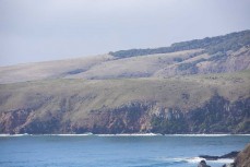 Empty lineup during a fun swell on the north coast, Dunedin, New Zealand.Credit: www.boxoflight.com/Derek Morrison