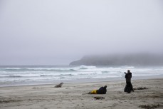 Exploring the sea lion habitat at Allan's Beach with Jordana Whyte and John Burke, of the New Zealand Sea Lion Trust, Jim Fyfe, of Doc. Hooper's Inlet, Dunedin, New Zealand.Credit: www.boxoflight.com/Derek Morrison