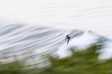 A surfer makes the most of a fun day at St Clair, Dunedin, New Zealand.
Credit: www.boxoflight.com/Derek Morrison