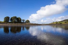 Low tide at the lagoon at Raglan, Waikato, New Zealand.
