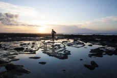 Local kaumatua Robin Collins in his element at the Seaweed Pickers near Ahipara, Northland, New Zealand.