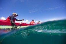 A waka ama team dig in during the Pearl of the North waka ama race held near Te Tii, Northland, New Zealand.