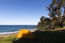 Pohutukawa campsite near Whananaki on the Tutukaka Coast, Northland, New Zealand.