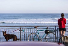 Balanced surf check during an afternoon session at St Clair, Dunedin, New Zealand. Photo: Derek Morrison