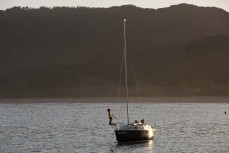 Summer at Totaranui in Abel Tasman National Park on a stunning day on the water, Tasman, New Zealand.