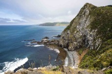 The coastline at Nugget Point in the Catlins, New Zealand. Photo: Derek Morrison