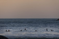 Dusk grom session at Tauranga Bay, Westport, West Coast, New Zealand.Credit: www.boxoflight.com/Derek Morrison
