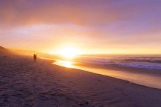 Dawn at St Clair, Dunedin, New Zealand.
Credit: www.boxoflight.com/Derek Morrison