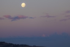 Full moon at St Clair, Dunedin, New Zealand.Credit: www.boxoflight.com/Derek Morrison