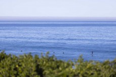 Calm afternoon at St Kilda Beach, Dunedin, New Zealand.Credit: www.boxoflight.com/Derek Morrison
