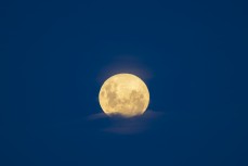 Super moon at St Clair, Dunedin, New Zealand.
Credit: www.boxoflight.com/Derek Morrison