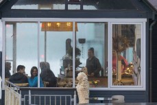 A dog peers into the Long Dog Cafe at St Clair, Dunedin, New Zealand.
Credit: www.boxoflight.com/Derek Morrison