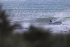 Hunting during a winter session on the North Coast, Dunedin, New Zealand.Credit: www.boxoflight.com/Derek Morrison