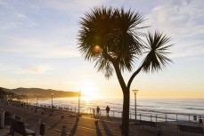 Dawn sunshine on the esplanade at St Clair, Dunedin, New Zealand.
Credit: www.boxoflight.com/Derek Morrison