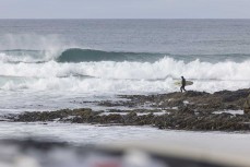 Sarge off the point at St Clair, Dunedin, New Zealand.
Credit: www.boxoflight.com/Derek Morrison