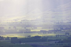 Late afternoon sunshine on farmland on the Taieri near Mosgiel, Otago, New Zealand. Photo: Derek Morrison