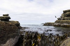 Karne Gabbott leaps into the ocean at a remote bay in the Catlins, Southland, New Zealand.Credit: www.boxoflight.com/Derek Morrison
