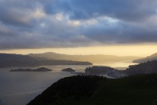 Dusk light up Otago Harbour, Dunedin, New Zealand. Photo: Derek Morrison