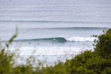 Late spring lines at Blackhead, Dunedin, New Zealand.
Credit: www.boxoflight.com/Derek Morrison