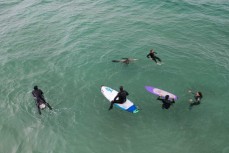 Local surfers practise rescue techniques with a curious local sea lion in attendance at a Surfers Rescue 24/7 training course held at South Coast Board Riders Association at St Clair, Dunedin, New Zealand.
