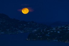 Moon rise over Otago Harbour from St Clair, Dunedin, New Zealand.
Credit: www.boxoflight.com/Derek Morrison