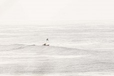 Surf Lifesaving Teams practise at St Kilda, Dunedin, New Zealand.Credit: www.boxoflight.com/Derek Morrison