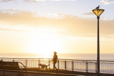 Laura McKinney walks her dog at dawn at St Clair, Dunedin, New Zealand.
Credit: www.boxoflight.com/Derek Morrison