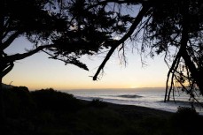 Dawn at a surf break near Kaikoura, New Zealand. Photo: Derek Morrison