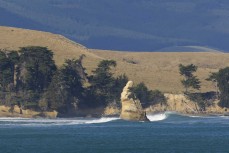 Lineup on Otago's North Coast, New Zealand.