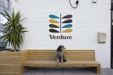 Devon at Verdure, Wellington, New Zealand.Credit: Derek Morrison