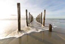 St Clair Poles, Dunedin, New Zealand. 