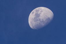 Moon over St Clair, Dunedin, New Zealand.
