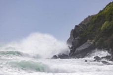 A northeast swell at a remote pointbreak near Dunedin, New Zealand.Credit: Derek Morrison