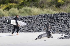 James Steiner dodges a sea lion at Blackhead, Dunedin, New Zealand.
Credit: Derek Morrison
