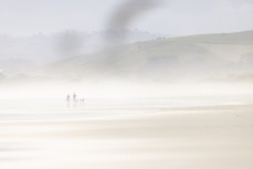 Dog walkers in the mist at Blackhead, Dunedin, New Zealand.
Credit: Derek Morrison