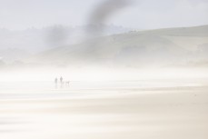 Dog walkers in the mist at Blackhead, Dunedin, New Zealand.Credit: Derek Morrison