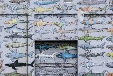 Street art in Wellington, New Zealand.Credit: Derek Morrison