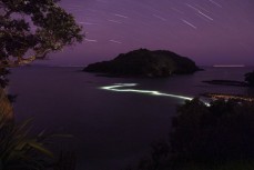 Night divers Taryn Meachin and Leon Norton explore Leigh Marine Reserve at night on the east coast at Leigh, Auckland, New Zealand.