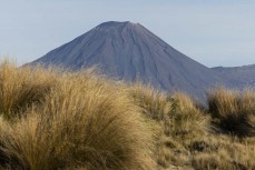 Mount Ngauruhoe from the Rangipo Desert, Desert Road, Tongariro National Park, Ruapehu, New Zealand.Credit: Derek Morrison