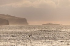 Dawn paddle at St Clair, Dunedin, New Zealand.
Credit: Derek Morrison