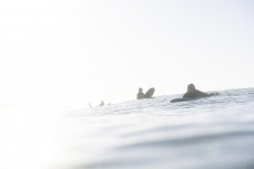 Surfers at St Clair, Dunedin, New Zealand.
Credit: Derek Morrison