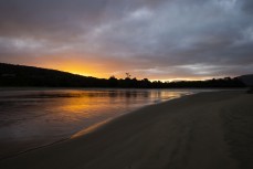 The forest meets the sea at Papatowai in the Catlins, New Zealand. Photo: Derek Morrison