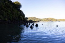 Divers at Horseshoe Bay at Rakiura Stewart Island, New Zealand.Credit: www.boxoflight.com/Derek Morrison