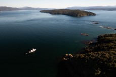 Gravity at a dive spot near Ulva Island, Rakiura Stewart Island, New Zealand.Credit: www.boxoflight.com/Derek Morrison