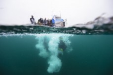 Divers enter the water at The Neck, Rakiura Stewart Island, New Zealand.Credit: www.boxoflight.com/Derek Morrison