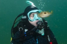 Emma Hutchinson dives at The Neck, Rakiura Stewart Island, New Zealand.Credit: www.boxoflight.com/Derek Morrison