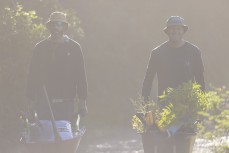 Matt Jenks and Johnny De Graaf: Second Beach native tree planting fairies at St Clair, Dunedin, New Zealand.
Credit: Derek Morrison