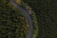 Three Mile Hill Road near City Forests forestry, Dunedin, New Zealand.